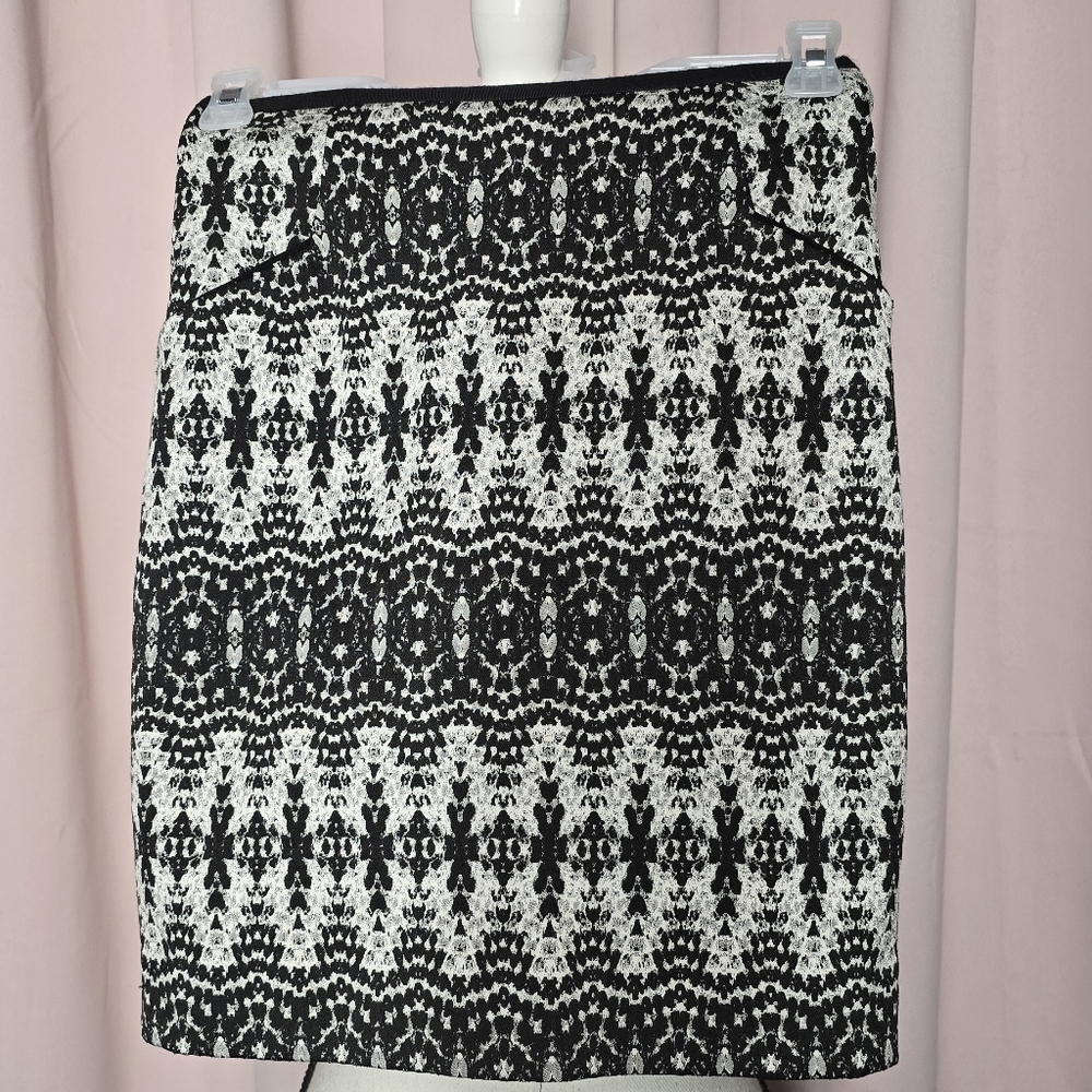 H&M Elegant Skirt
